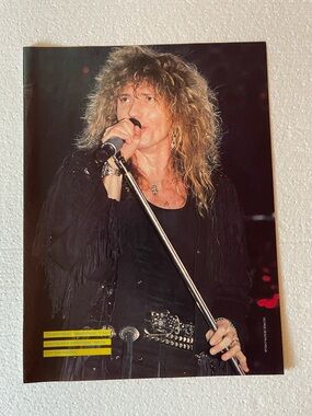 Whitesnake David Coverdale pinup